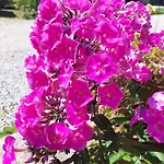 Chez Bertine Rural 3 Epis Holiday home Sivry-Rance