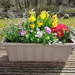 Holiday home Chez Bertine Rural 3 Epis *