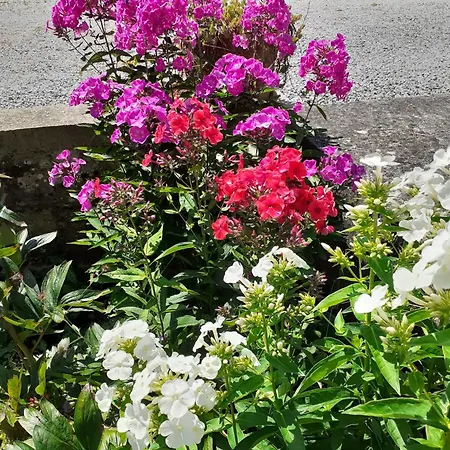 Chez Bertine Rural 3 Epis Sivry-Rance